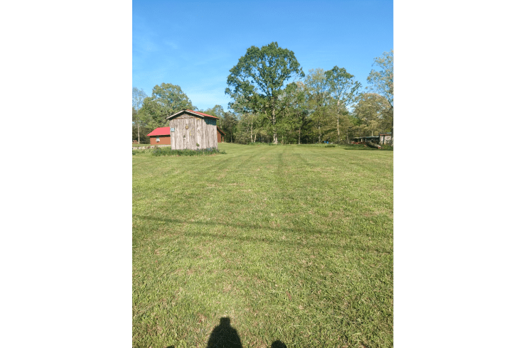 Alpha Lawn Care