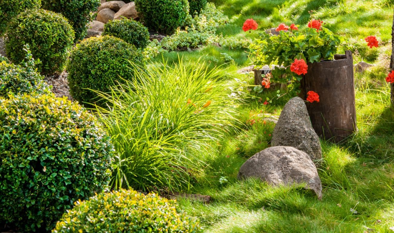 Alpha Lawn Care