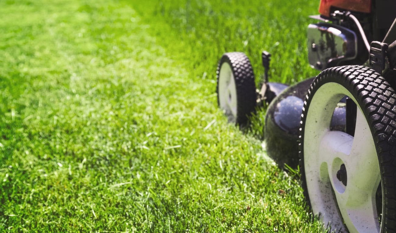 Alpha Lawn Care